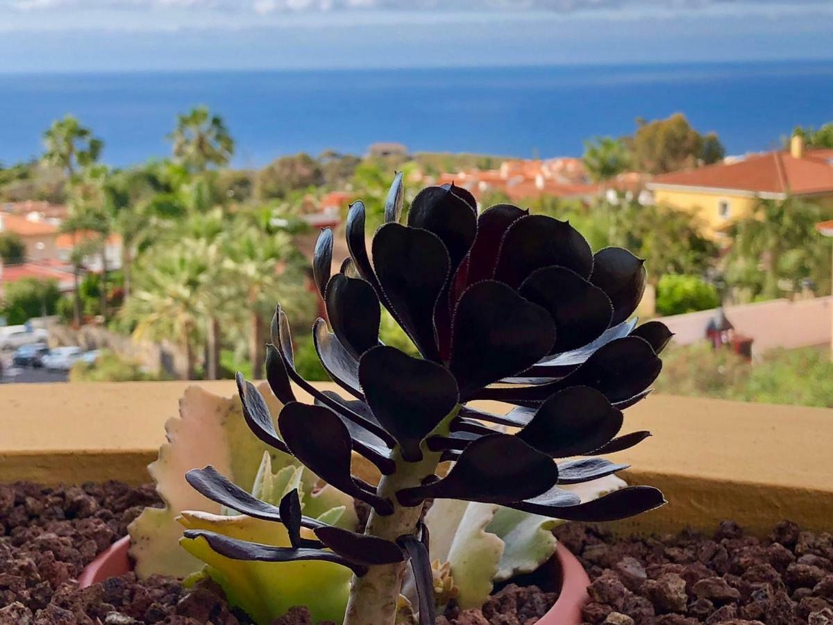 Terraza Vista Oceano La Quinta Apartman Santa Úrsula Kültér fotó